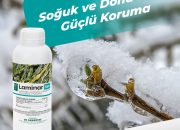 Soğuk ve Dona Karşı Güçlü Koruma