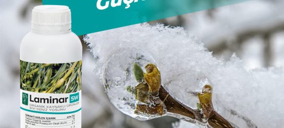 Soğuk ve Dona Karşı Güçlü Koruma